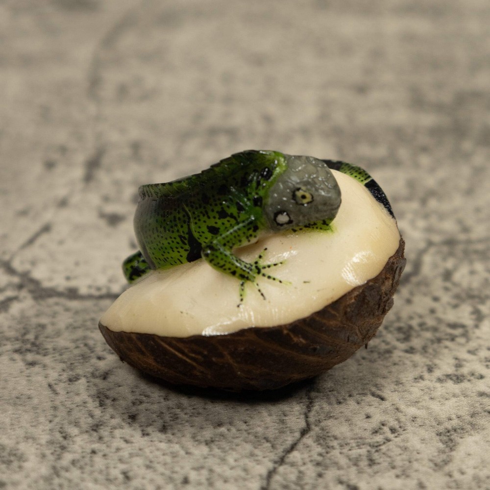 Iguana Lizard Tagua Carving