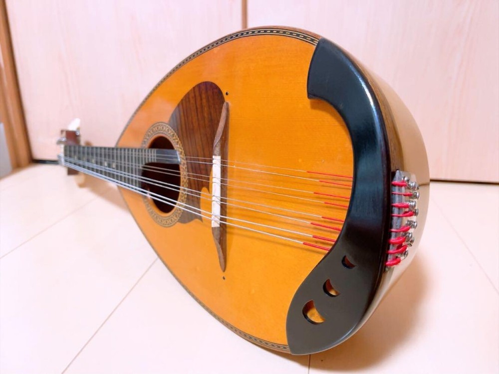 Suzuki Mandolin M-210 Brown Bowlback Entry Model violin