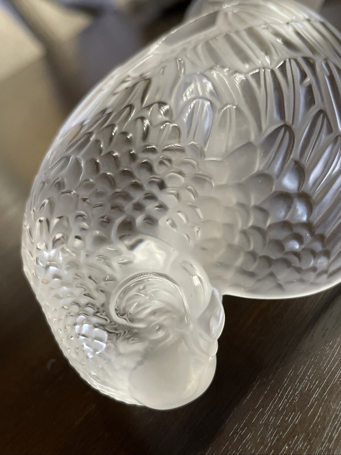 Lalique France Crystal Perruche Parakeet Bird Figurine- MINT