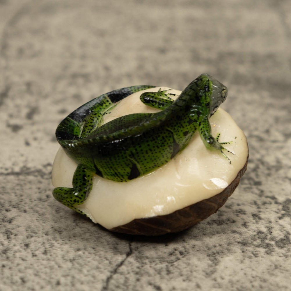 Iguana Lizard Tagua Carving