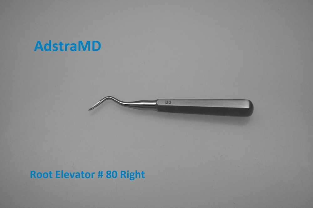 Root Tip Elevator # 80 Right Dental Instruments Dentist Tools