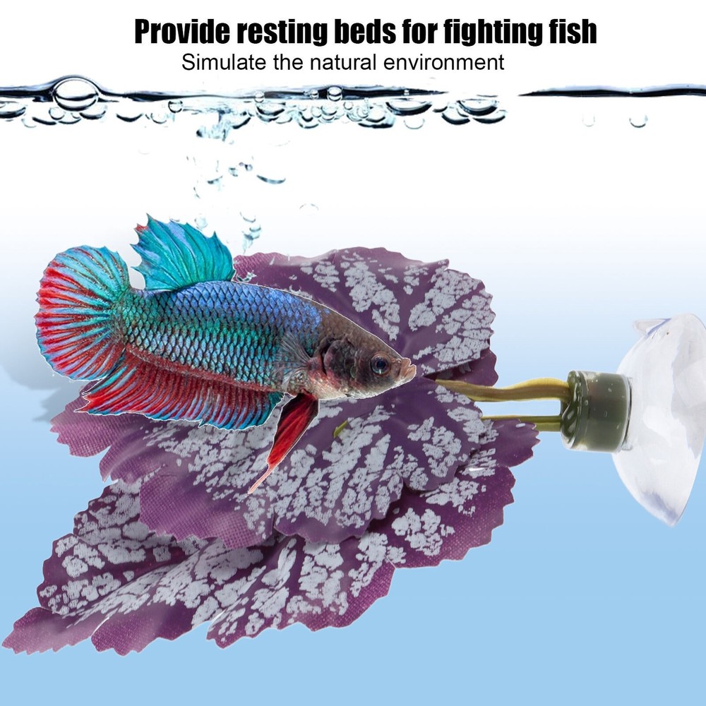 Betta Fish Leaf Pad Plastic Leaf Betta Hammocks with Suction Cup