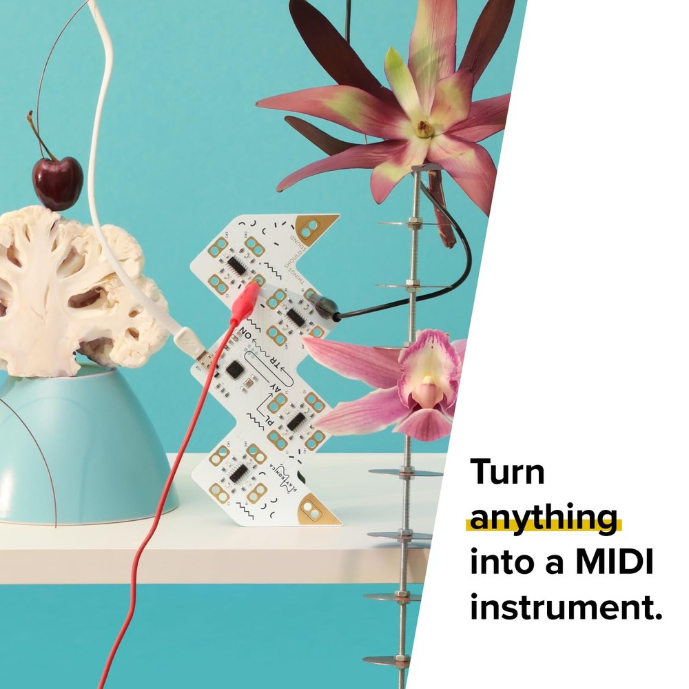Playtron MIDI Controller, Connect up to 16 Conductive Objects and Turn...