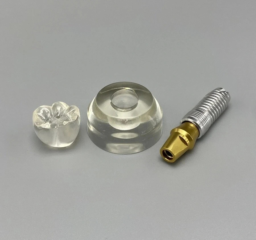 M2020 Dental Implant Model Teeth Study Teach Model Removable Clear Demonstration