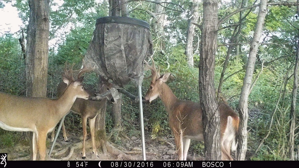SPYDER Gravity Feeder Attachment