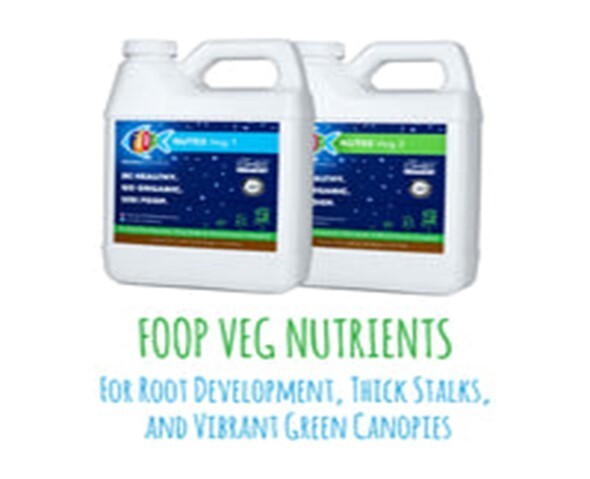 Foop Veg1 / 32 oz (read description)