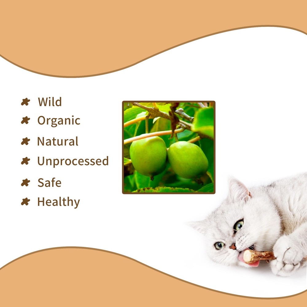 Deegufa [ 35pcs Silvervine Sticks for 35 PCS, Cat Chew