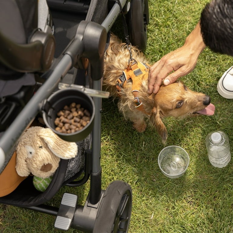 Evenflo Pivot Troop Modular Travel System Stroller Child & Pet, Black