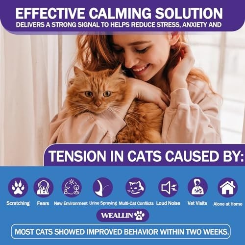 6 Pack Cat Calming Diffuser Refills - Pheromone Stress Relief, 6 Month Supply