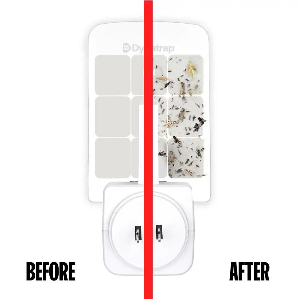 Indoor Replacement Glue Cards for LED Flylight Insect Trap - 6-Pack