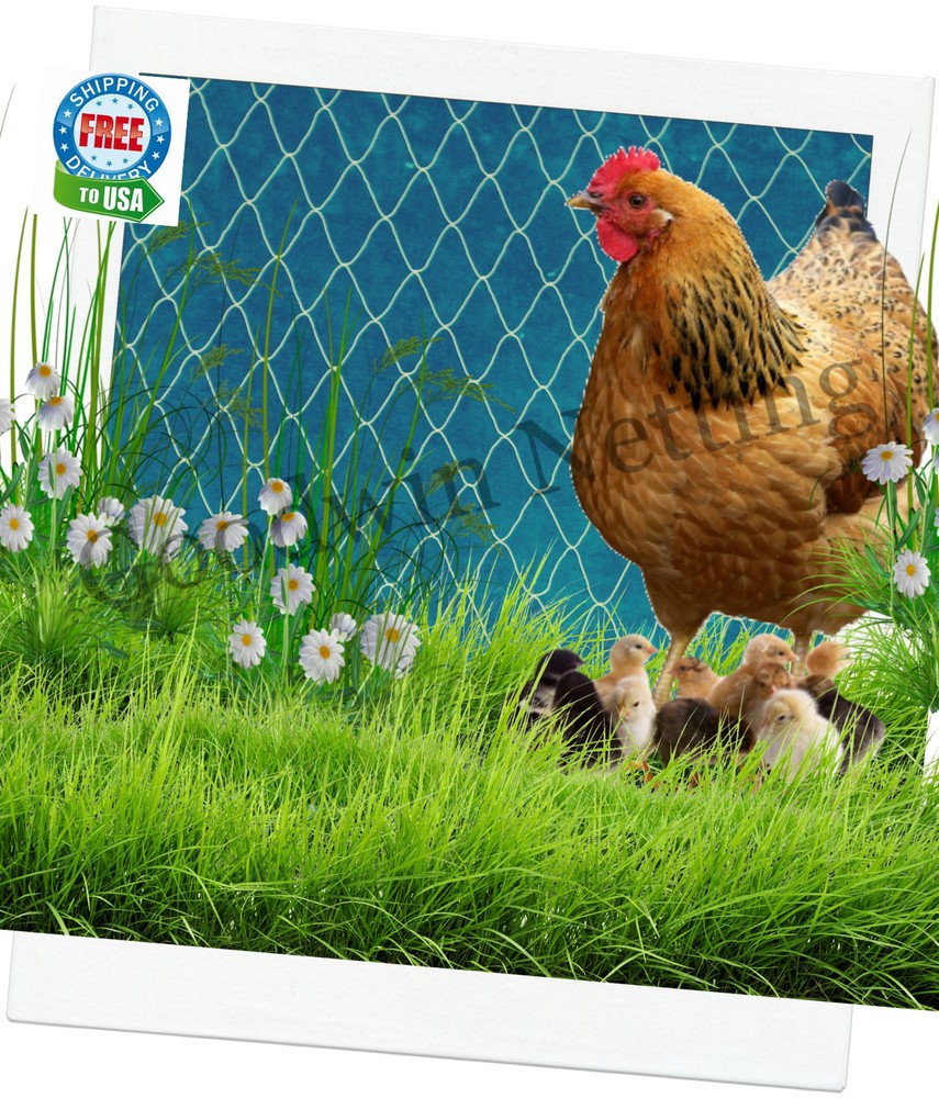 4 ft Plant, Garden, Chicken, Protective Nylon Netting