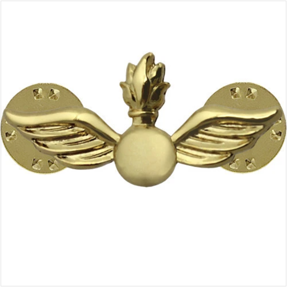 GENUINE U.S. NAVY COLLAR DEVICE: AVIATION ORDNANCE TECHNICIAN