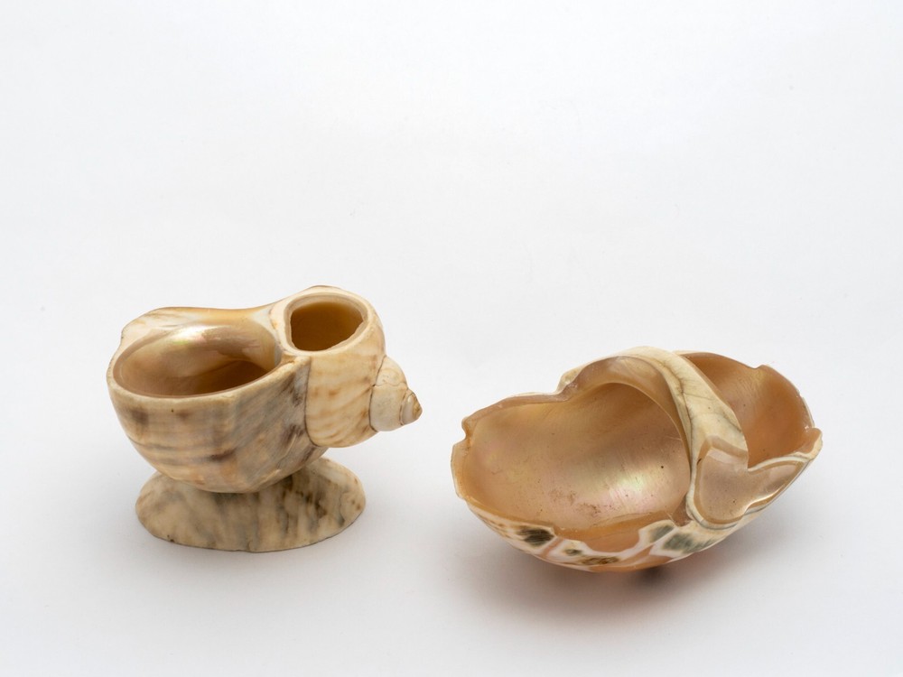 Two Antique Carved Shell Salts