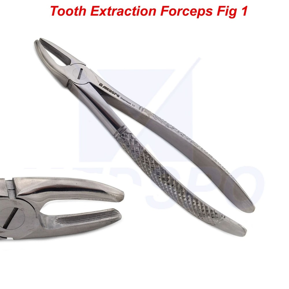 Dental Extraction Forceps Fig 01 Upper Incisors Tooth Extracting Instruments CE