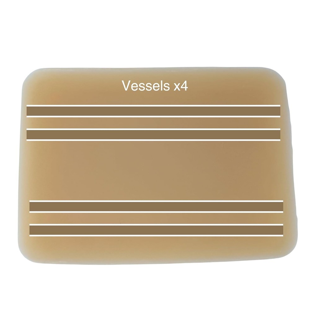 Echonect Ultrasound Practice Pad Training Model for Needle Insertion - NEW