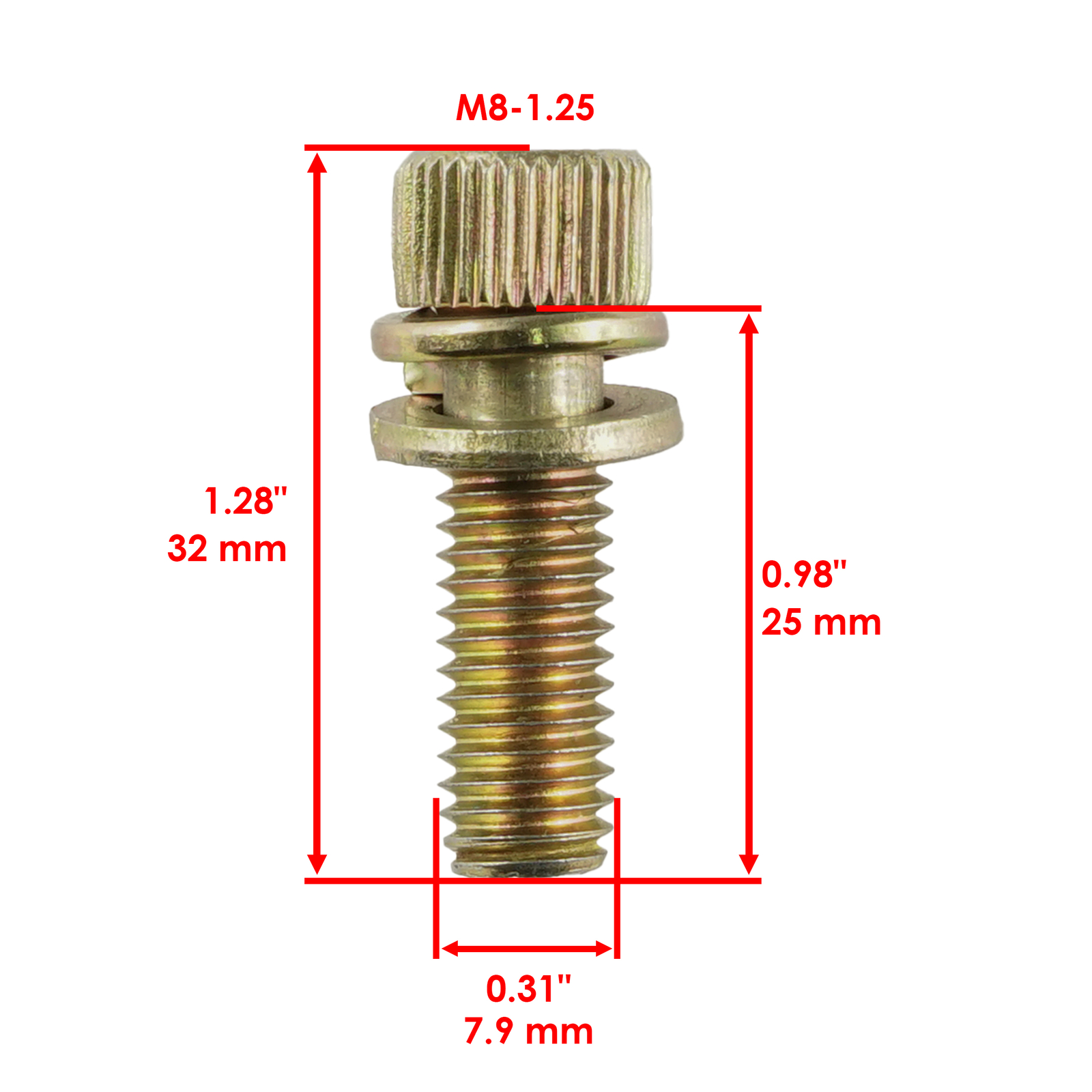 Exhaust Muffler Gasket Seal Spring Kit For Polaris RZR 900 50 55 60 Inch 2015-23