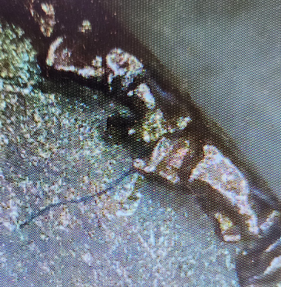 1949 D Planchet Error cent. 🧐🪙 #coin #error #cent