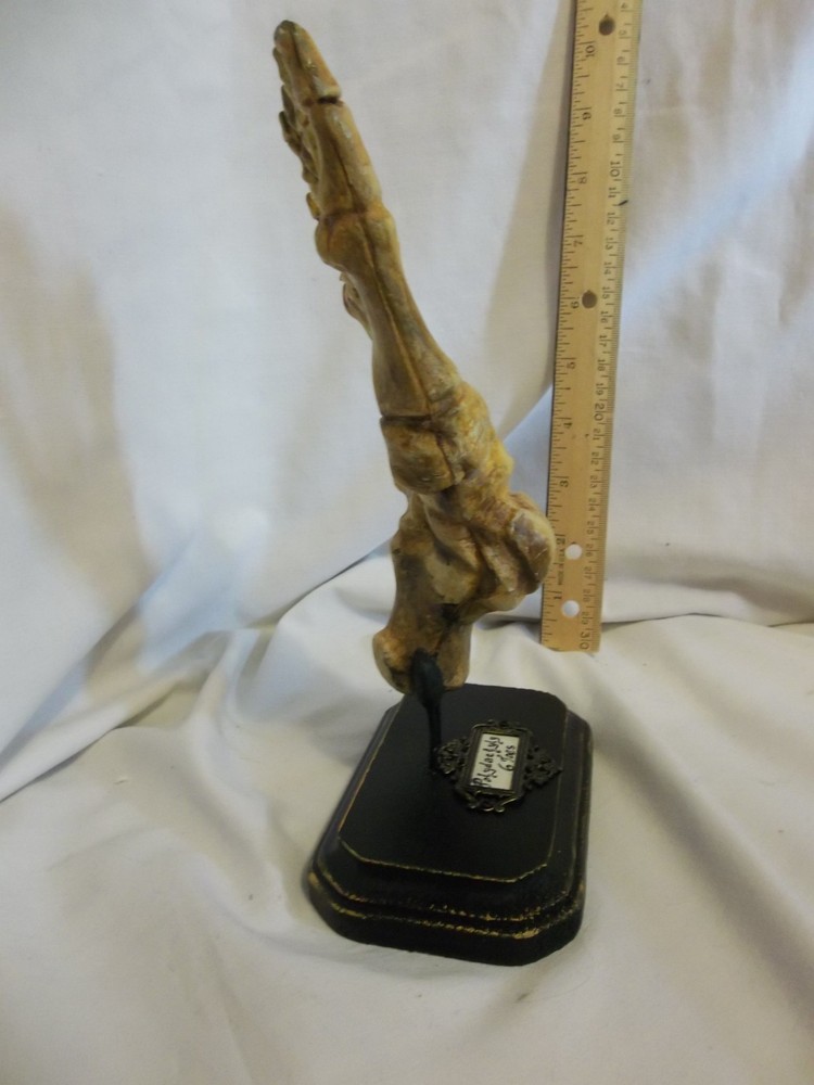 6/Six Digits Toes Polydactyly Skeleton Foot Sideshow Gaff Oddity Curiosity OOAK
