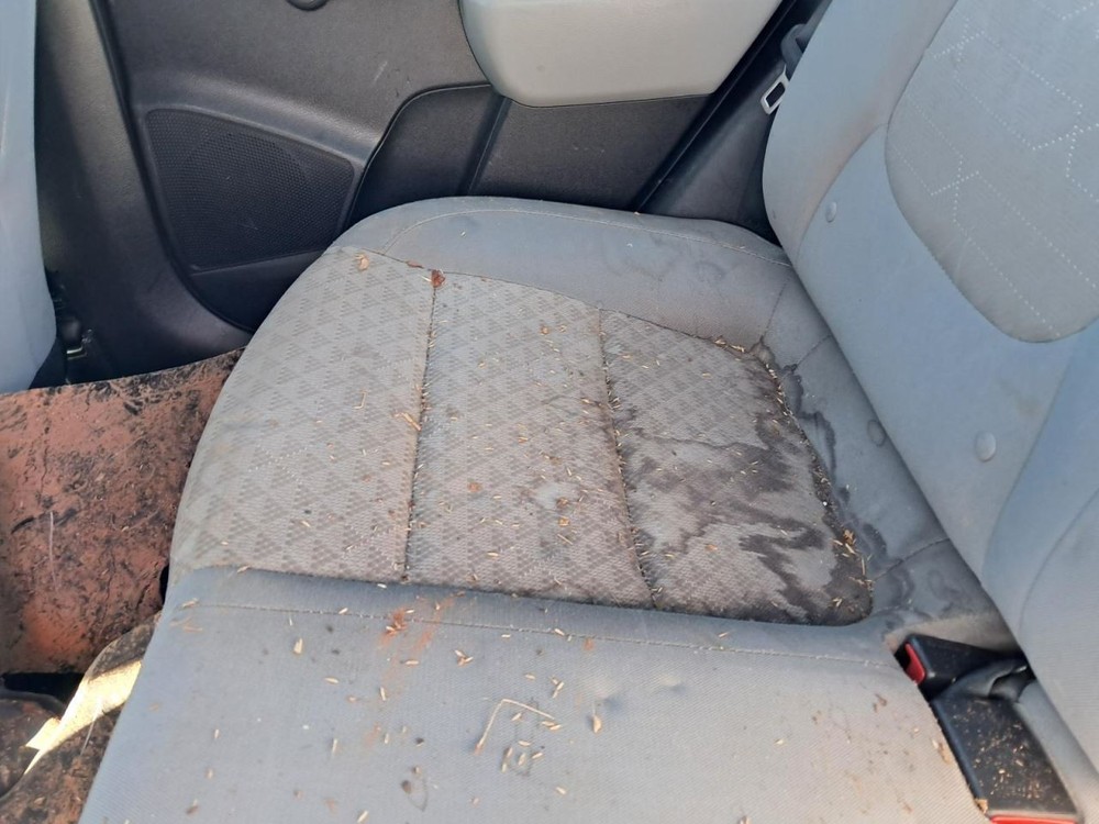 RIO 2018 Glove Box 4765990