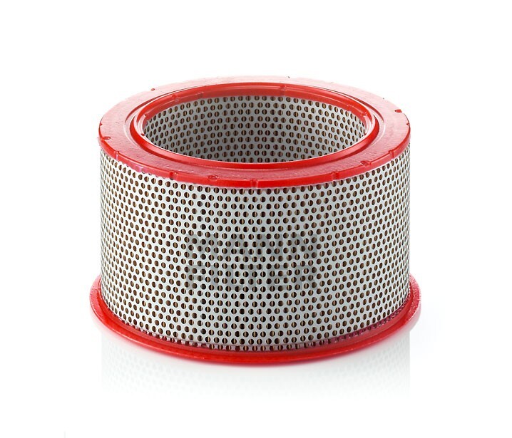 MANN FILTER REPLACEMENT AIR FILTER FOR RENNER/SCHRADER AIR 80-10290