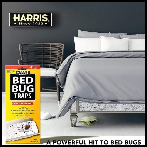Harris Bed Bug Early Detection Glue Traps (4/Pack)
