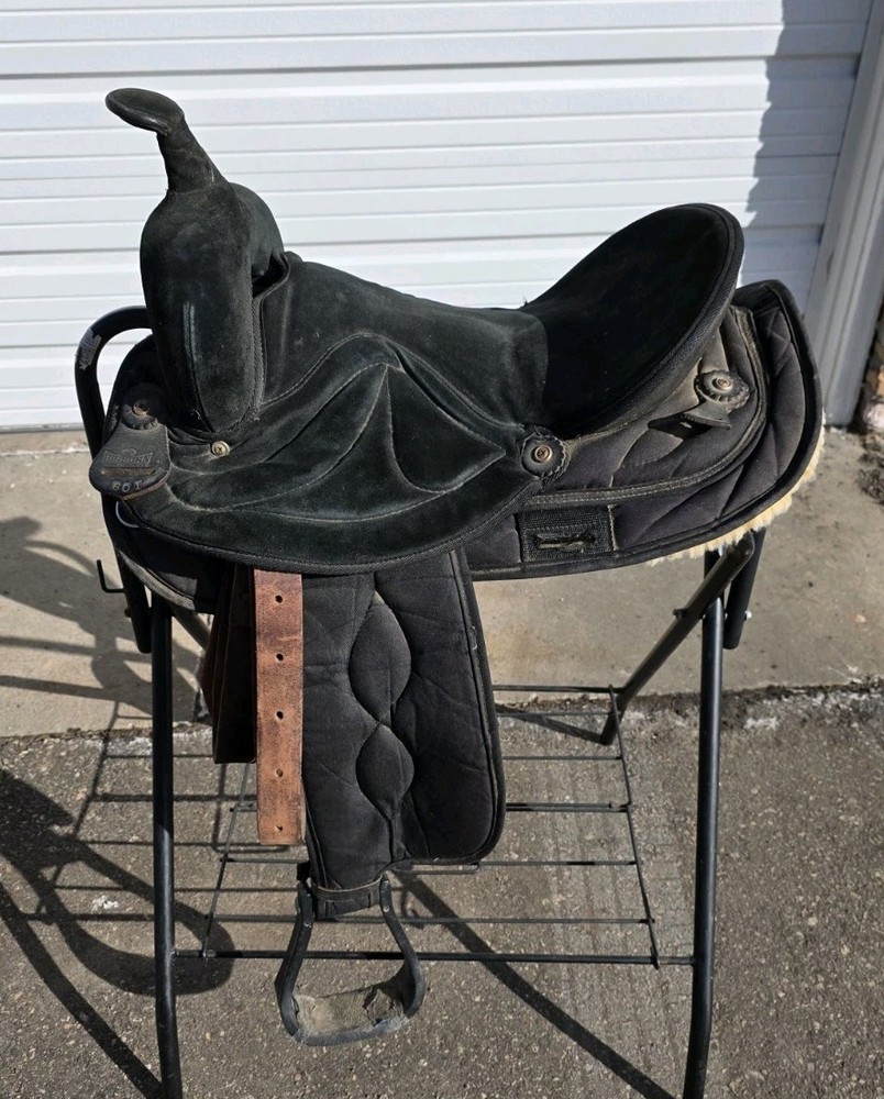 #601 Big Horn Saddle Cracked Tree