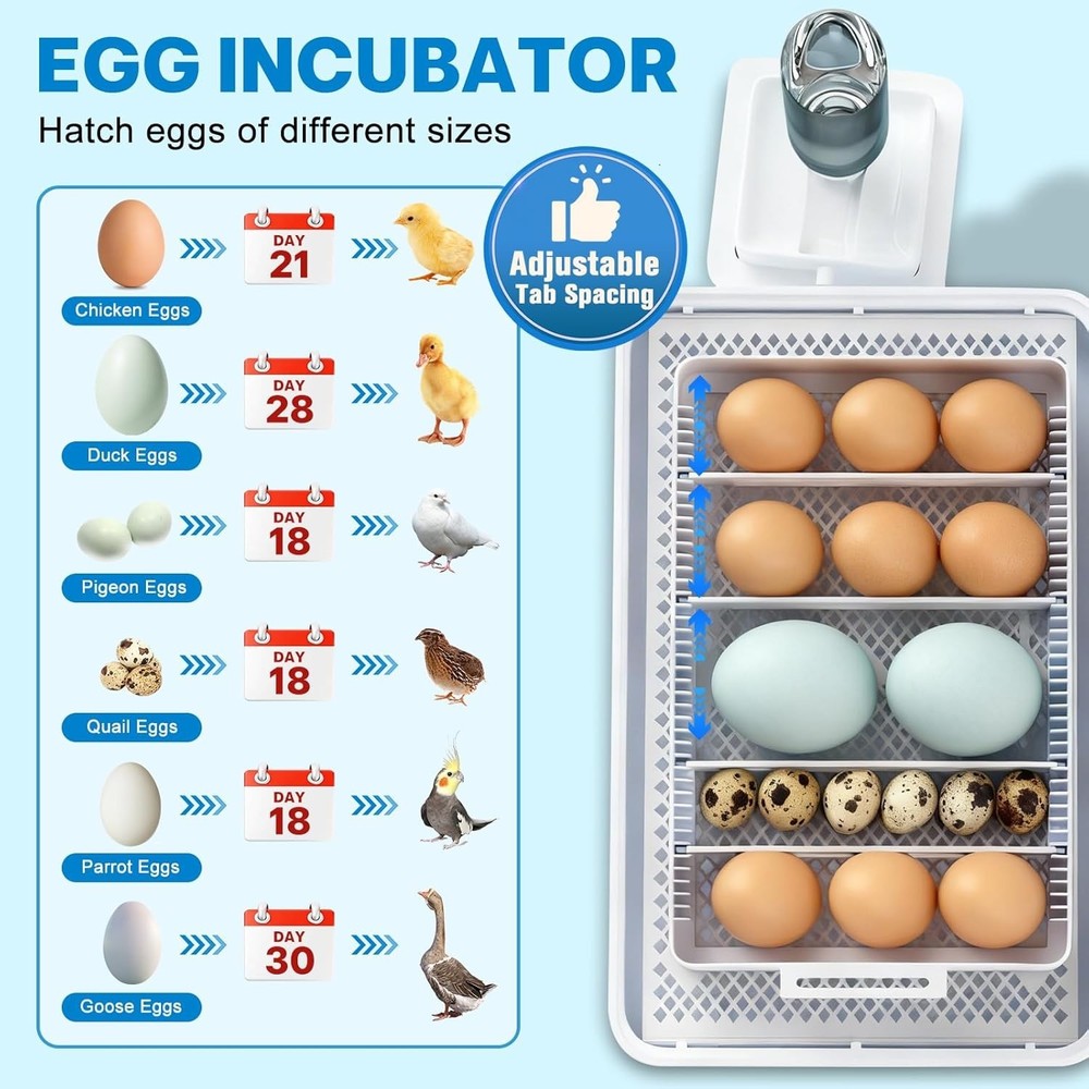 Eggs 15-35 Eggs Incubator with Automatic Egg Turning and Temperature Humidity...