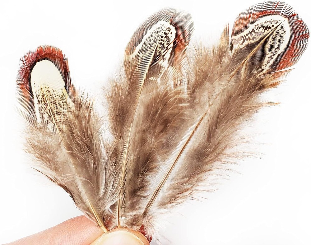100 pcs Eco-Friendly Pheasant Feathers 2-3 inch for Crafting & Decorating