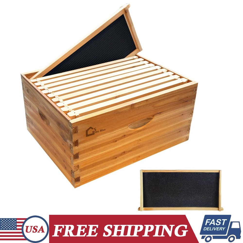 10-Frame Langstroth Deep Beehive Box with Wax-Coated Frames & Foundation Sheets