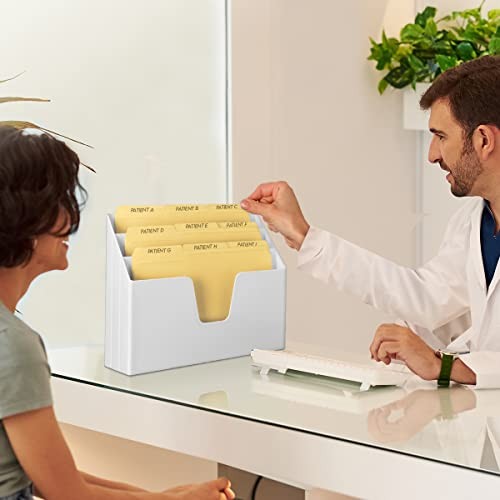 Horizontal Triple File Folder Holder Organizer, Includes 9 Manila Folders