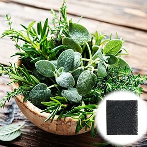 25 Pack Pump Filter Compatible with AG Garden Filter Sponge Replacement Acces...