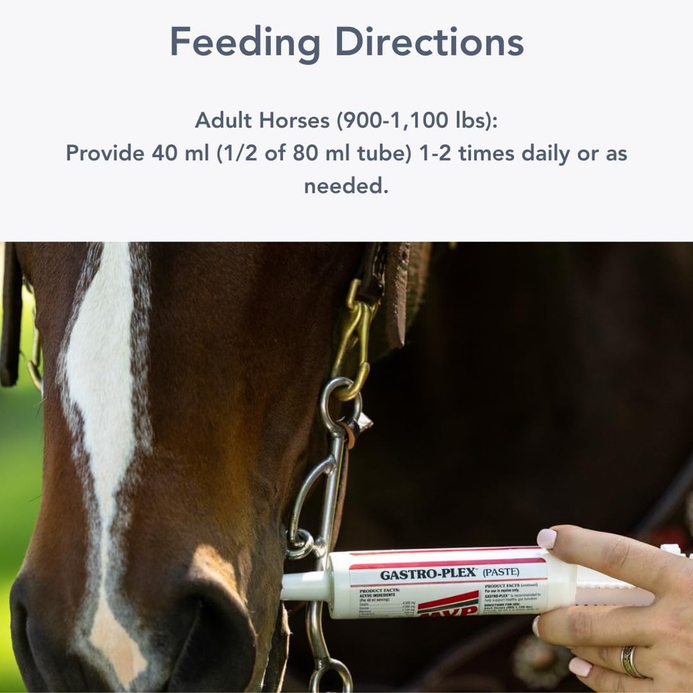Gastro-Plex Paste 5-Pack (10 doses) Gastric Paste for Horses