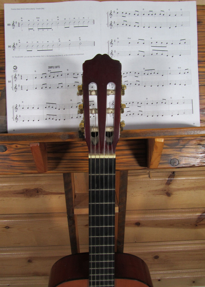 Eleca Acoustic 6 String Guitar Model C0-10