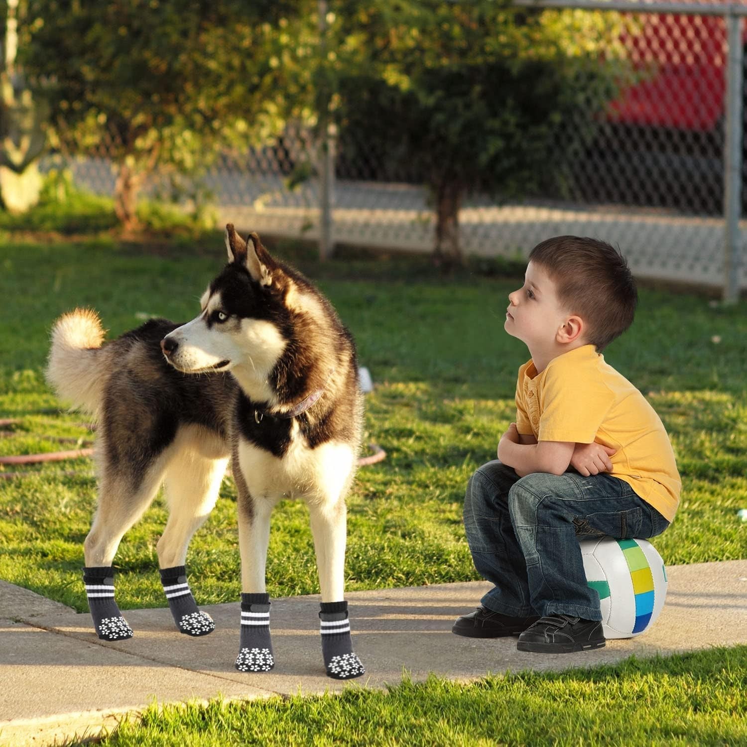 Double Side Anti-Slip Dog Socks 3 Pairs Dog Grip Socks with Adjustable Strap (M)