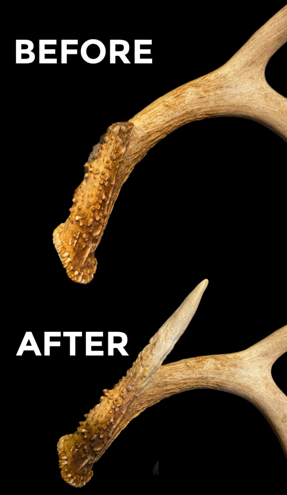 ALL-GAME The Antler Repair Material - FIX BROKEN & MISSING POINTS TINES  - SMALL