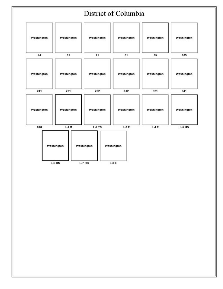Washington DC Precancel Town & Type 1 Pages in Sheet Protectors