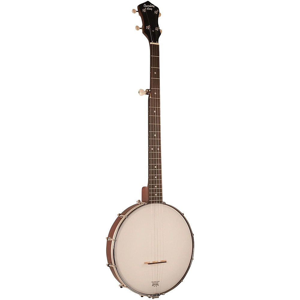 Recording King RKO-3S Open Back Banjo