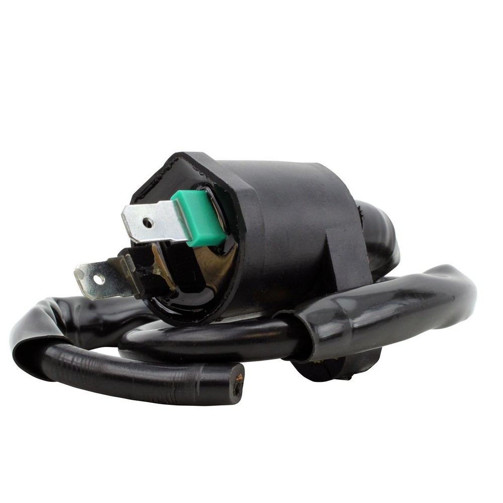 RM STATOR External Ignition Coil RM06025