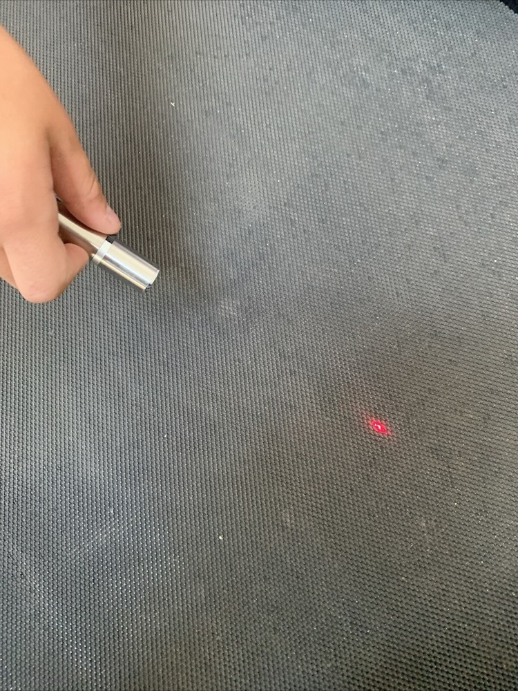 cat laser pointer