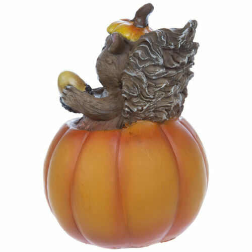 Be Thankful Squirrel & Pumpkin