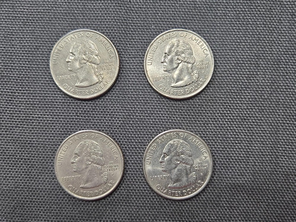 2008 P New Mexico State Quarter (E979)