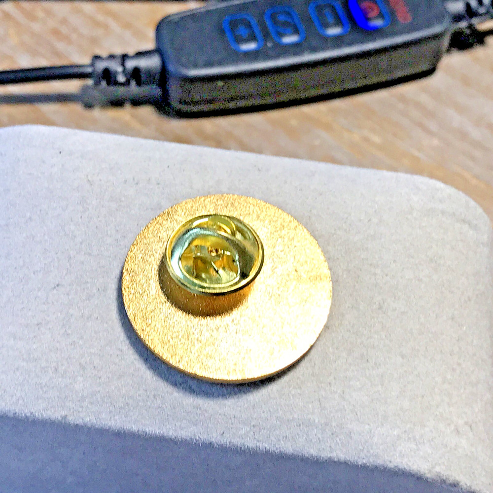 BOEING EMPLOYEE COMMUNITY FUND PIN