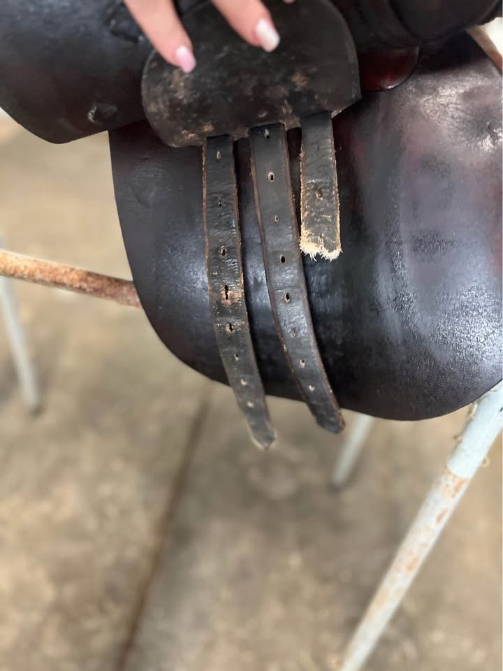 16" Beval Limited CC Saddle