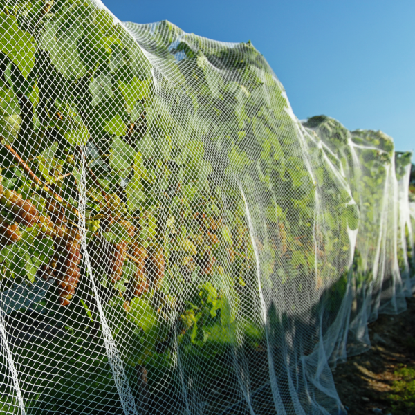 Farm Plastic Supply -Garden Insect Netting, Netting For Garden, Mosquito Netting