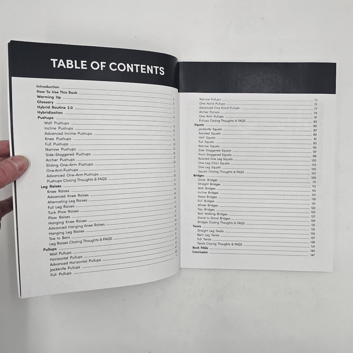 Hybrid Calisthenics by Hampton Liu | Bodyweight Fitness Workout Guide 2023 VG+