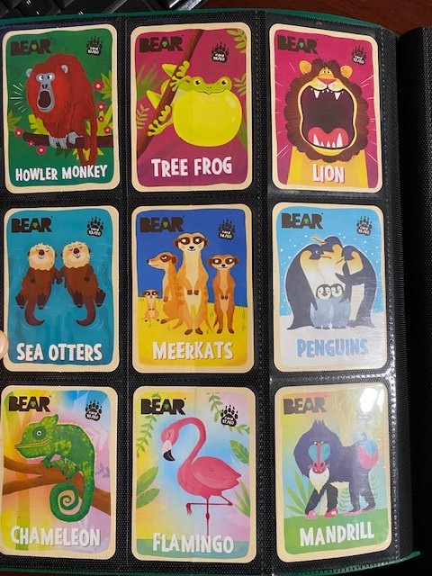 Bear Fruit Snack Animal Cards - Various animals - Complete Your Set!