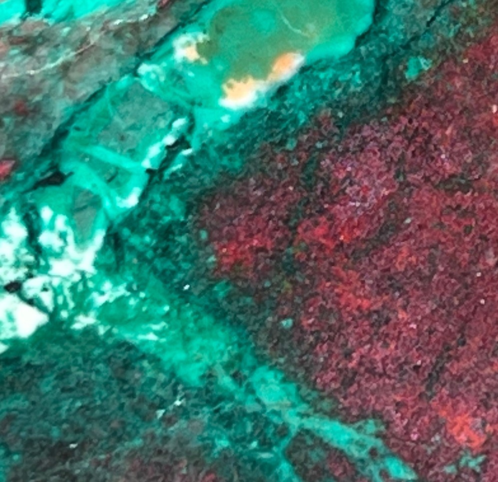 Sonora Sunrise Sunset Chrysocolla Cuprite 5.25"x2.25" Lapidary Rough Slab S1