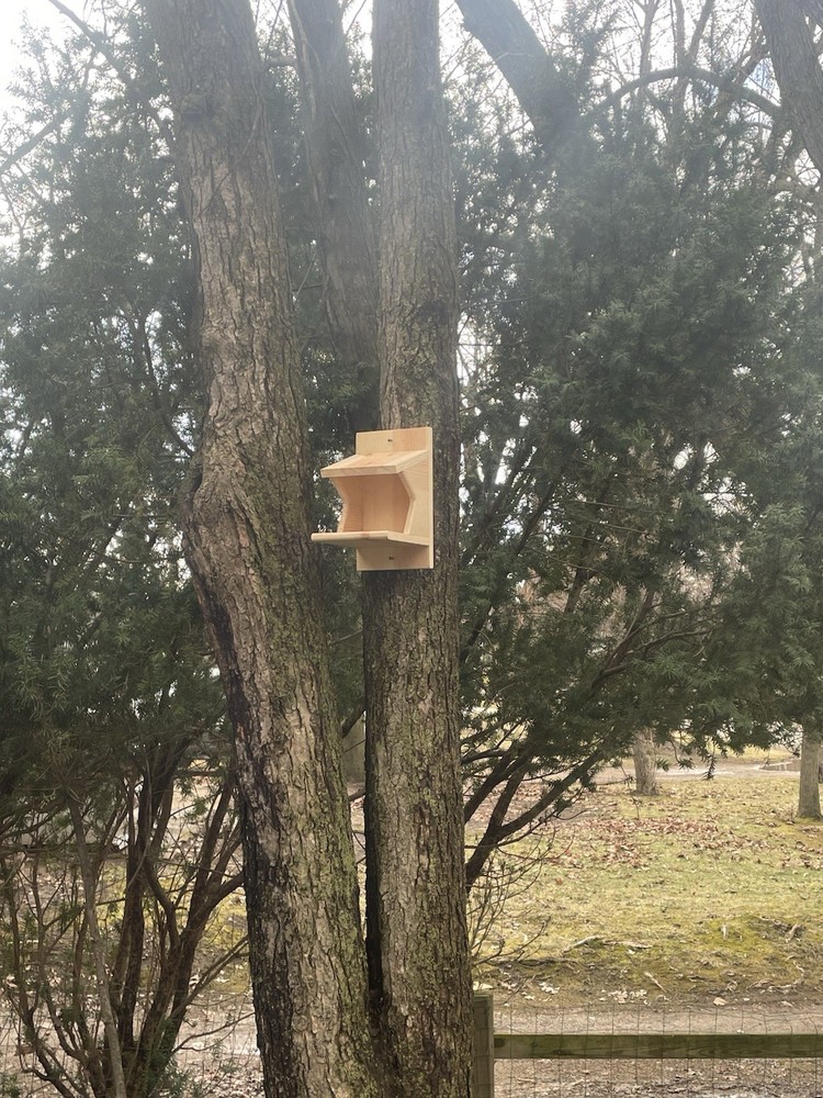 Pine Wood Robin Nesting Box~Dove Nesting Box~Cardinal Home~phoebe Nesting Box