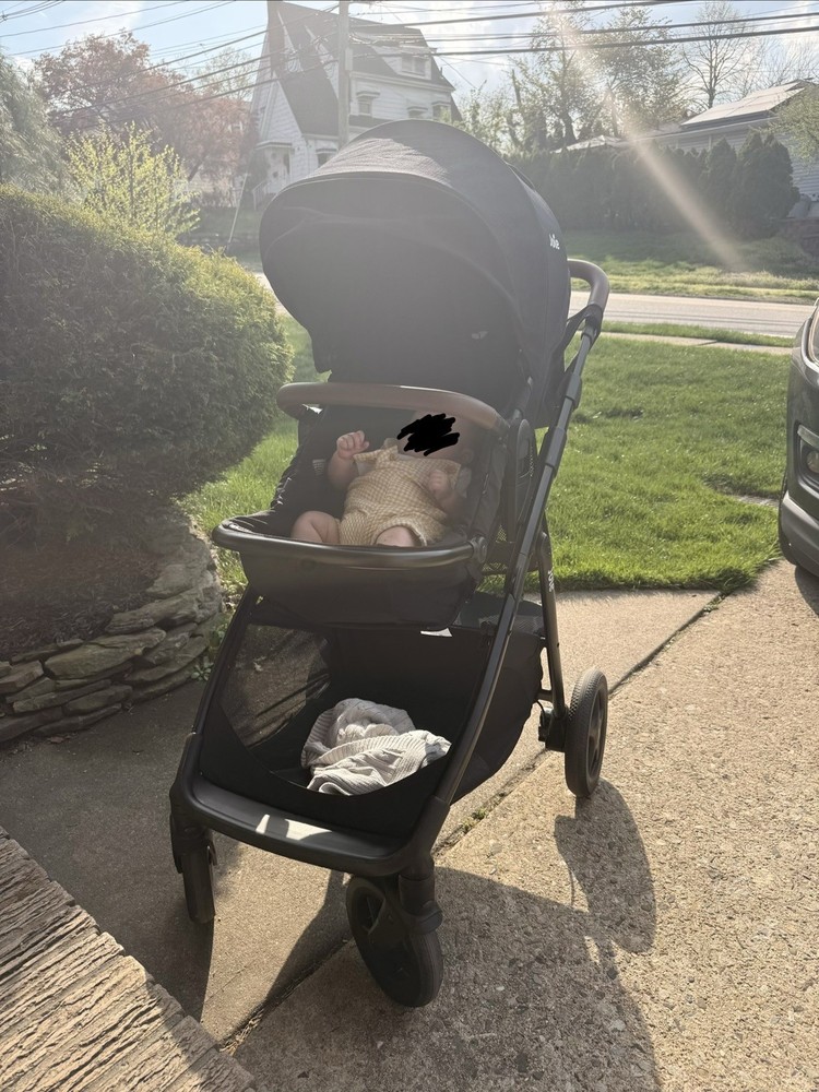 Joie ginger stroller