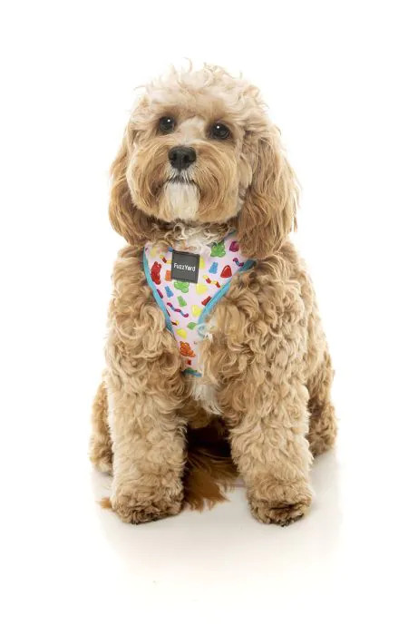 FuzzYard Harness Jelly Bears LARGE